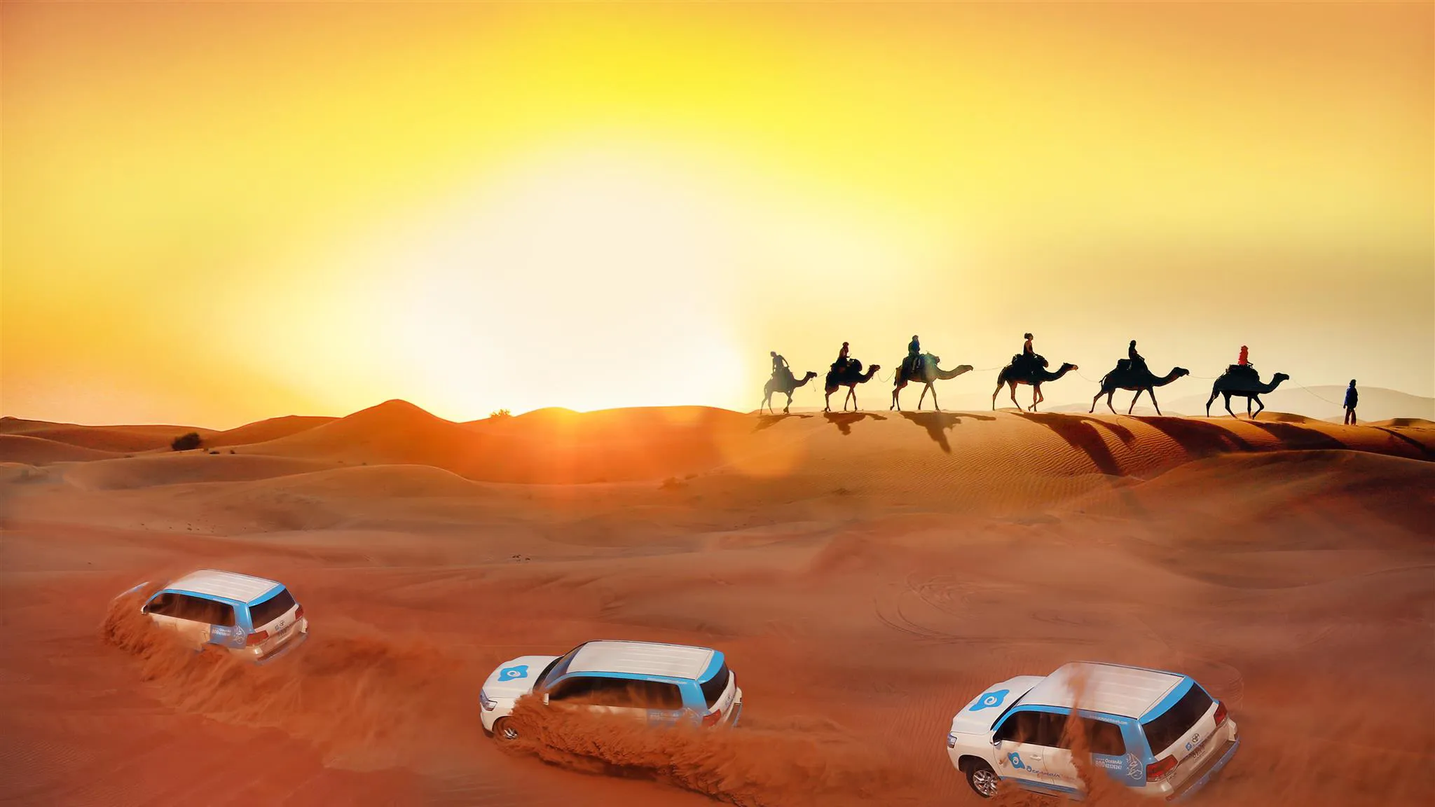 VIP Desert Safari