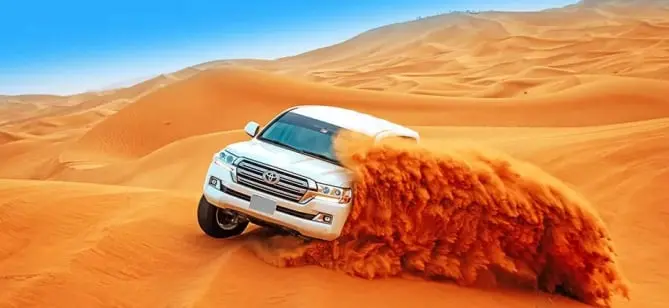 Morning Desert Safari